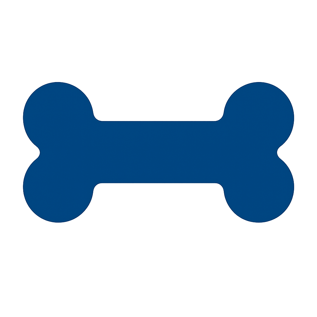 Bone Marrow Transplant