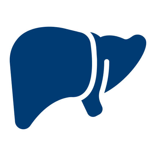 Liver Transplant