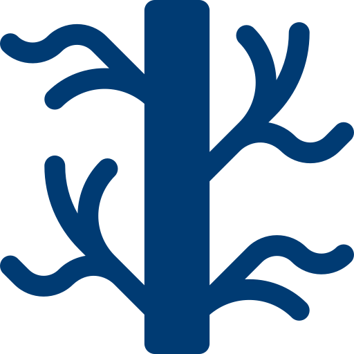 Endovascular