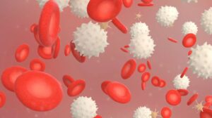 Stem-Cell-Transplantation-Process