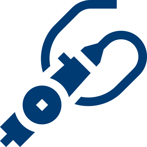 Endoscopic Discectomy