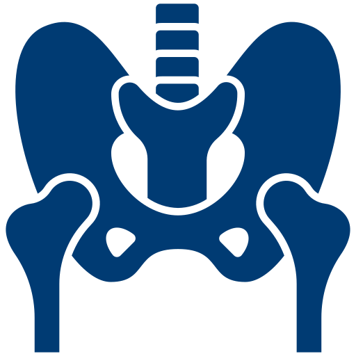Hip Revision Surgery 