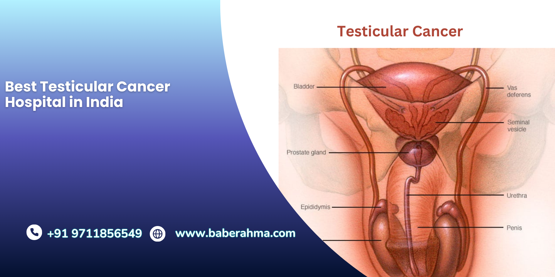 Procedure Image